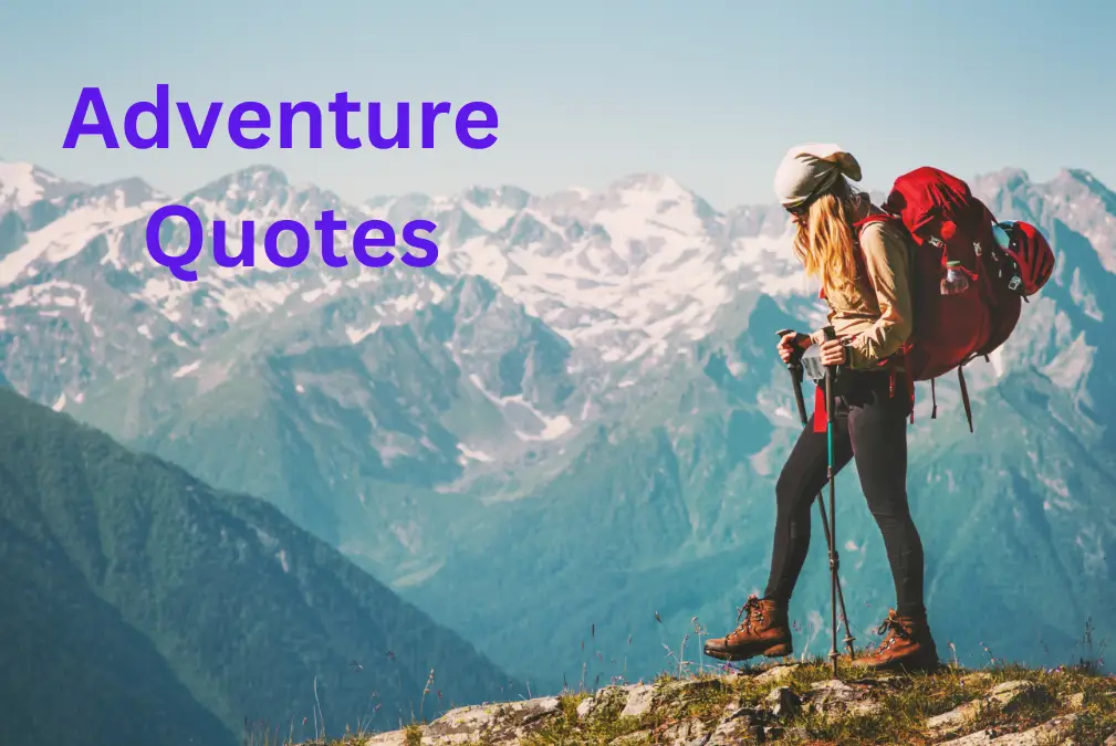 Adventure Quotes