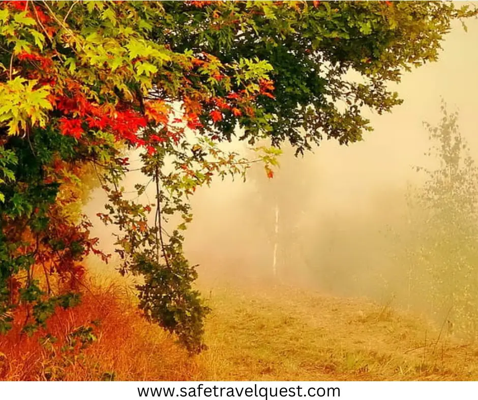 Best Time to Visit Marfa