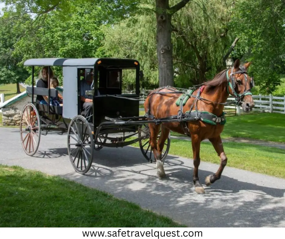 Things to do in Lancaster