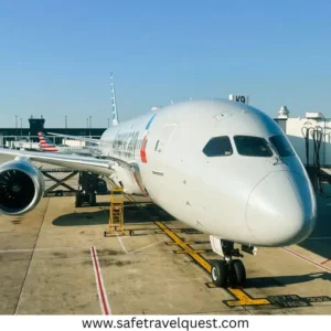 Travel on a Plane with Fresh Tattoo 