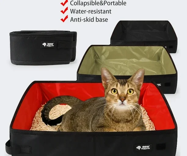 Travel Cat Litter Box: The Ultimate Guide towards Stress-Free Travel.