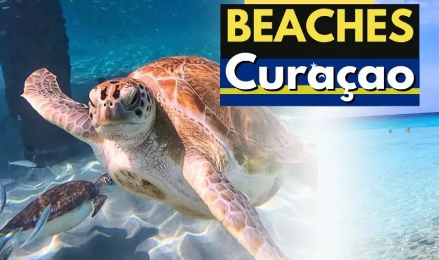 Curaacao Beach experience: ultimate travel guide.