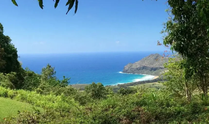 Travel Threetrees VN: Brand Research and Legitimacy Guide