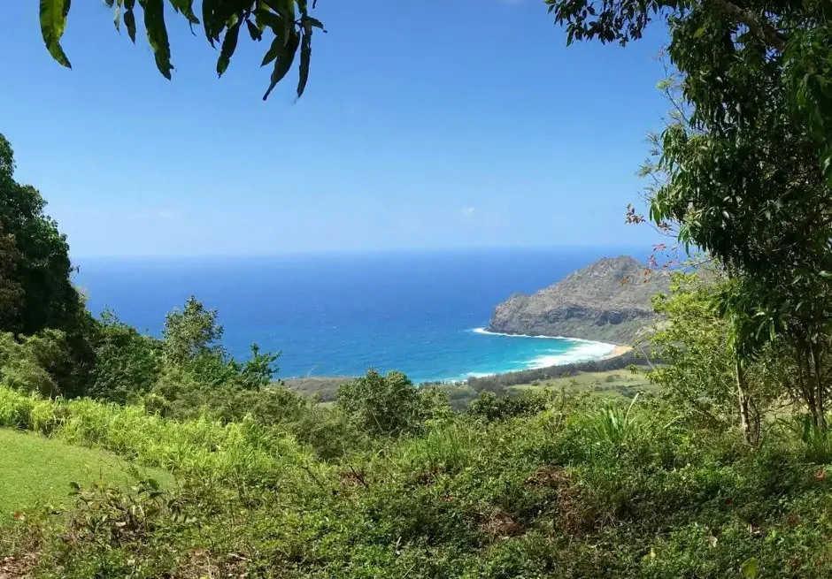 Travel Threetrees VN