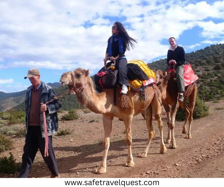 Bran Castle Tours Brasov